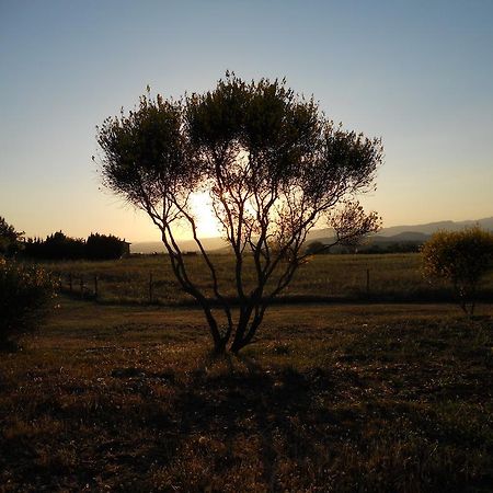 Agriturismo Il Grillo Parlante Pitigliano Esterno foto