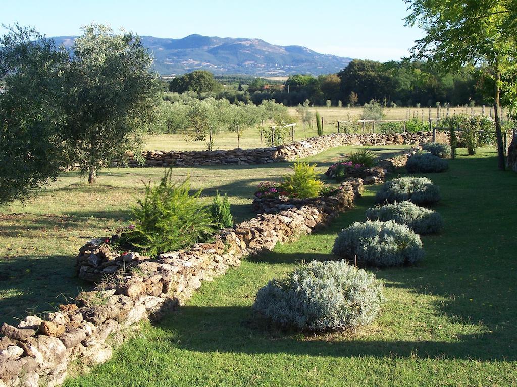 Agriturismo Il Grillo Parlante Pitigliano Esterno foto