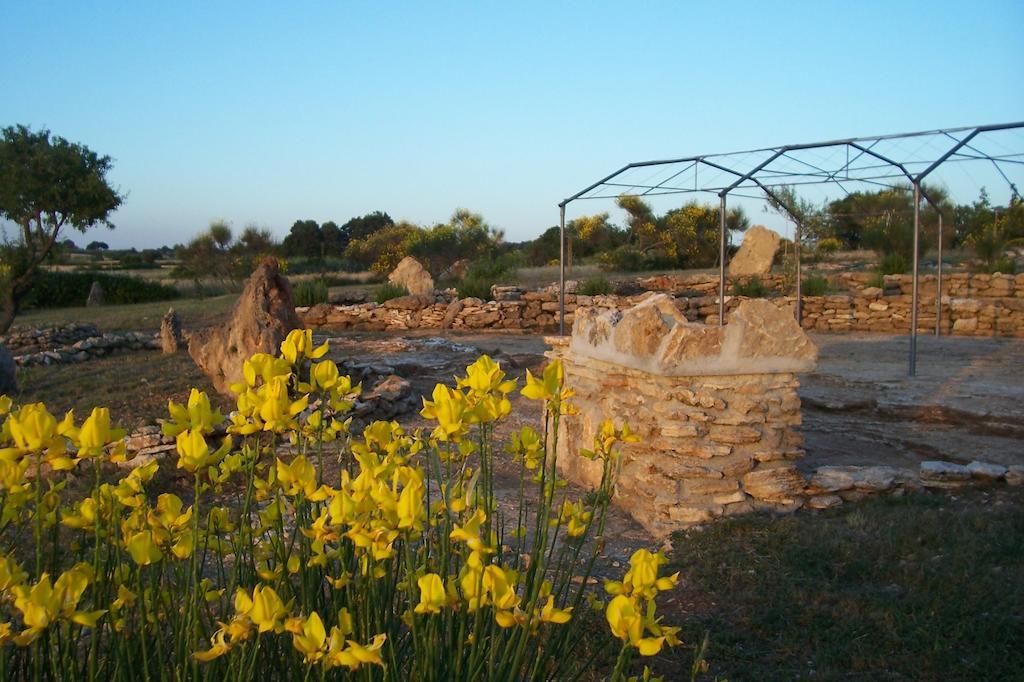 Agriturismo Il Grillo Parlante Pitigliano Esterno foto