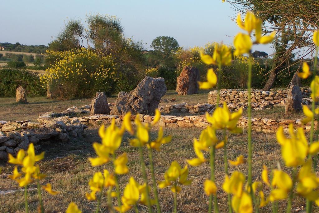 Agriturismo Il Grillo Parlante Pitigliano Esterno foto