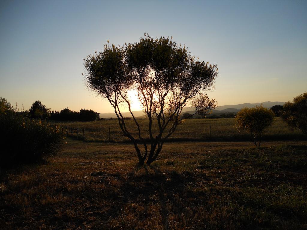 Agriturismo Il Grillo Parlante Pitigliano Esterno foto