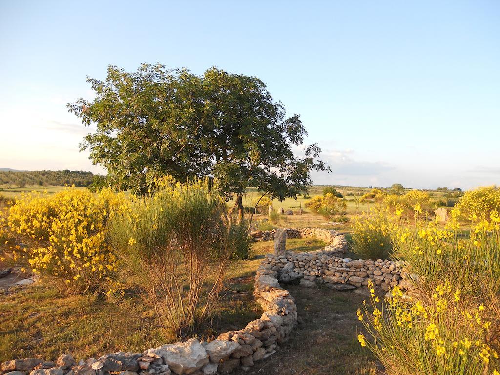 Agriturismo Il Grillo Parlante Pitigliano Esterno foto