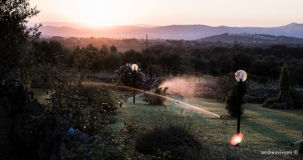 Agriturismo Il Grillo Parlante Pitigliano Esterno foto